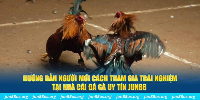 j88com loi game dot kich ket noi may chu that bai