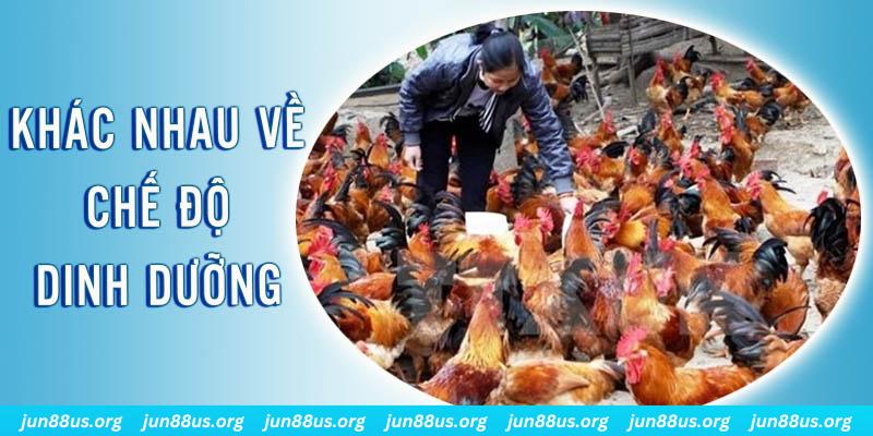 j88com xổ số miền nam thứ năm hàng tuần