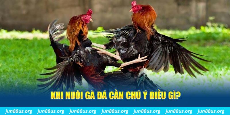 j88com nổ hũ là như thế nào