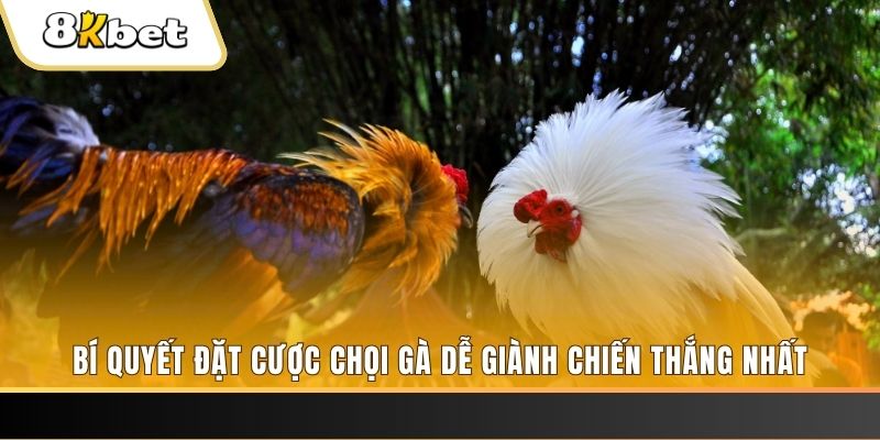 j88com xổ số thứ hai hàng tuần