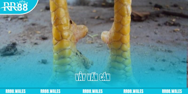 j88com đăng nhập nổ hũ hôm nay