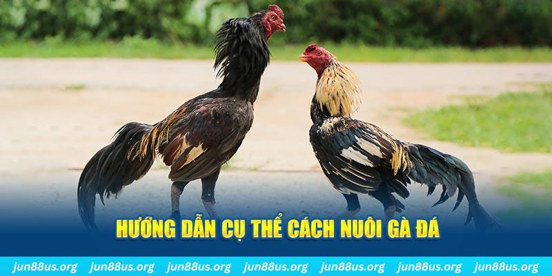 j88com đăng nhập sòng bạc số 1