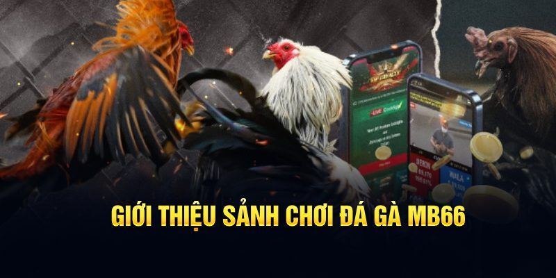 j88com đăng nhập poker hôm nay